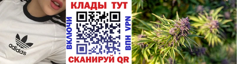 Виды наркотиков купить Хадыженск Марихуана Меф Alpha-PVP ГАШИШ КЕТАМИН Кокаин БУТИРАТ