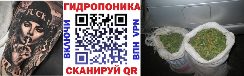 Бошки Шишки план  Хадыженск 